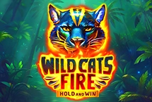 Wild Cats Fire