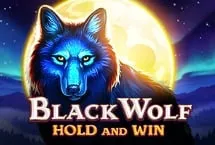 Black Wolf