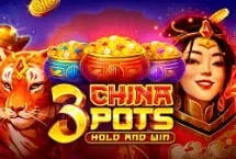3 China Pots