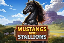 Mustangs and Stallions