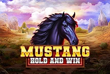 Mustang Hold and Win