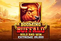 Buffalo Hold and Win Extreme 25,000
