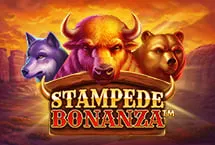 Stampede Bonanza
