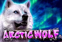 Arctic Wolf