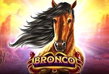 Bronco