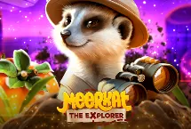 Meerkat The Explorer