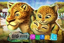 Big 5 Baby 5