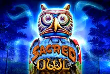 Sacred Owl