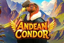 Andean Condor
