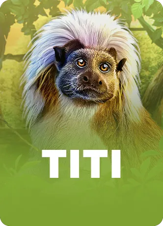 Titi