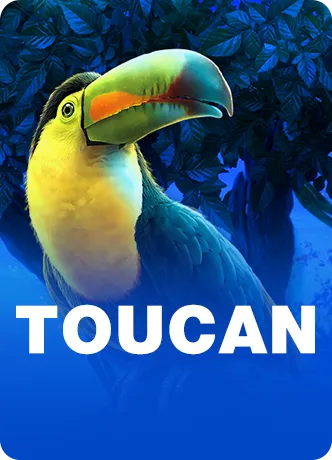 Toucan