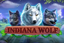 Indiana Wolf