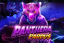 Panthera Pardus
