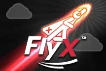 FlyX
