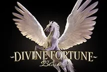 Divine Fortune Black