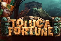 Toluca Fortune