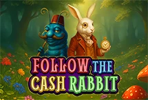 Follow the Cash Rabbit