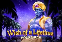 Wish of a Lifetime Hold & Win