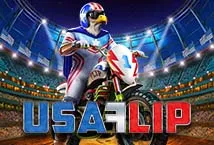 USA Flip