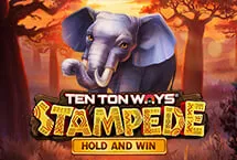 Ten Ton Ways Stampede