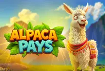 Alpaca Pays