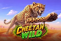 Cheetah Wild