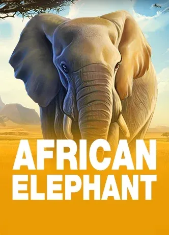 Slot Demo African Elephant Pragmatic Play