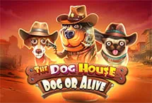 The Dog House - Dog or Alive