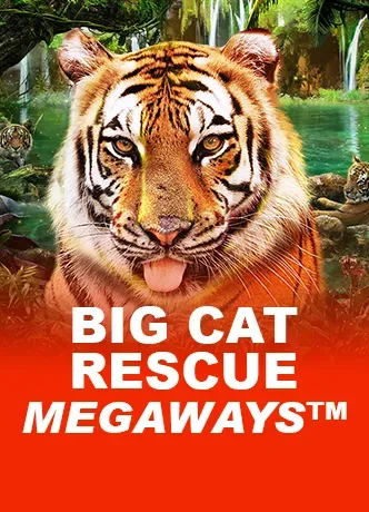 Big Cat Rescue Megaways™