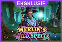 Merlin's Wild Spells