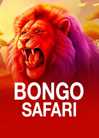 Bongo Safari