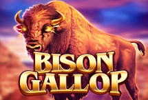 Bison Gallop