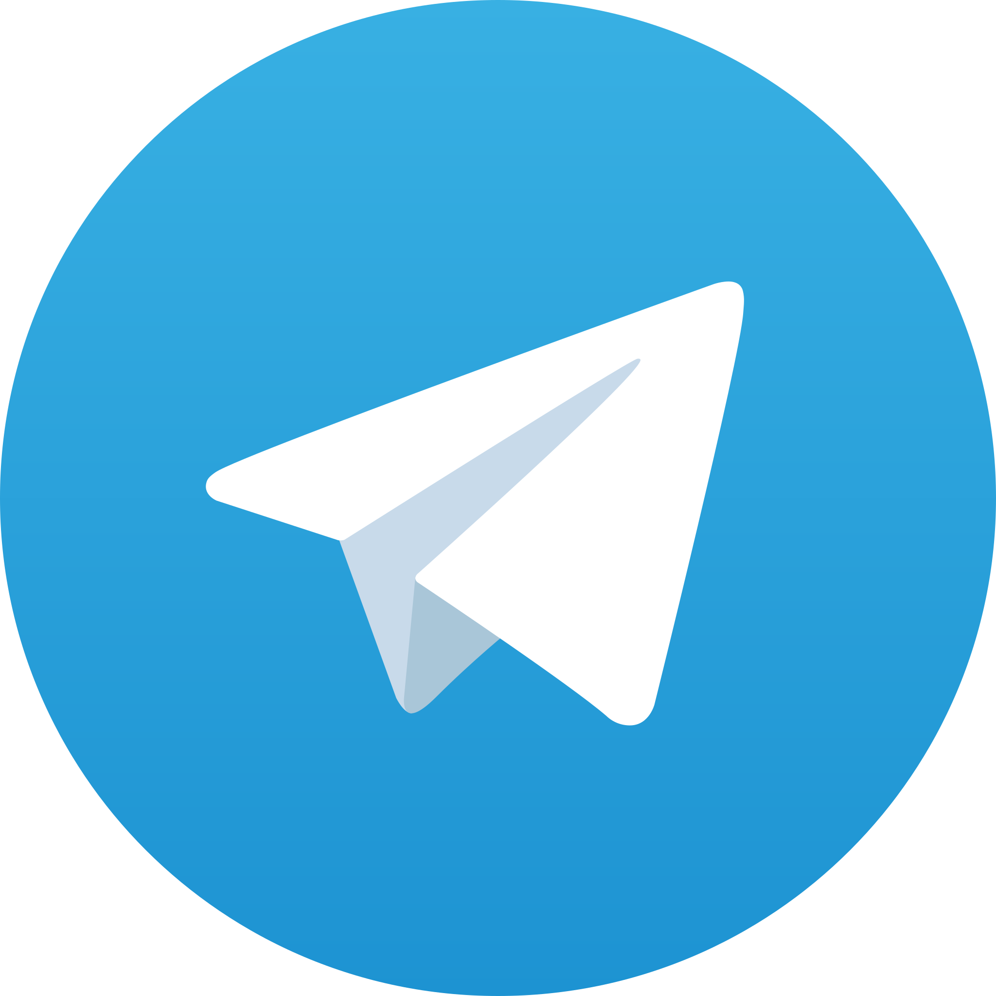 telegram idnpp