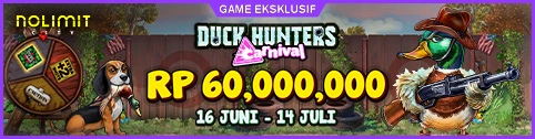 Carnival Duck Hunters